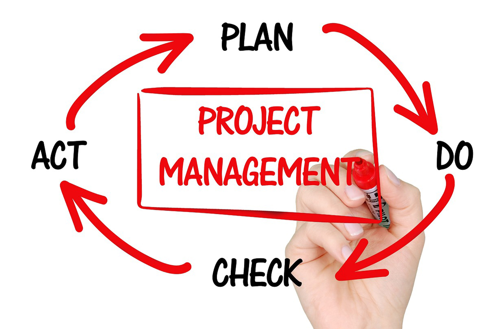 Project Management Course